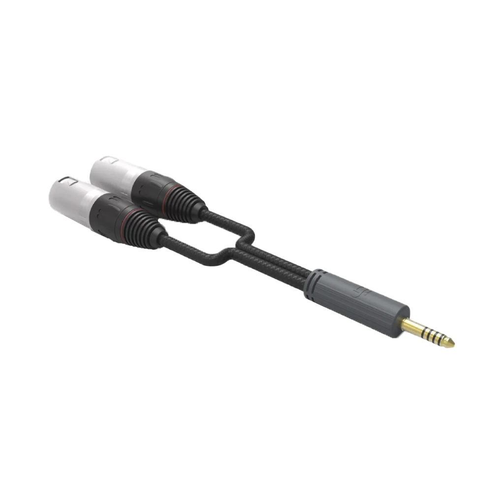IFI AUDIO 4.4MM TO XLR CABLE